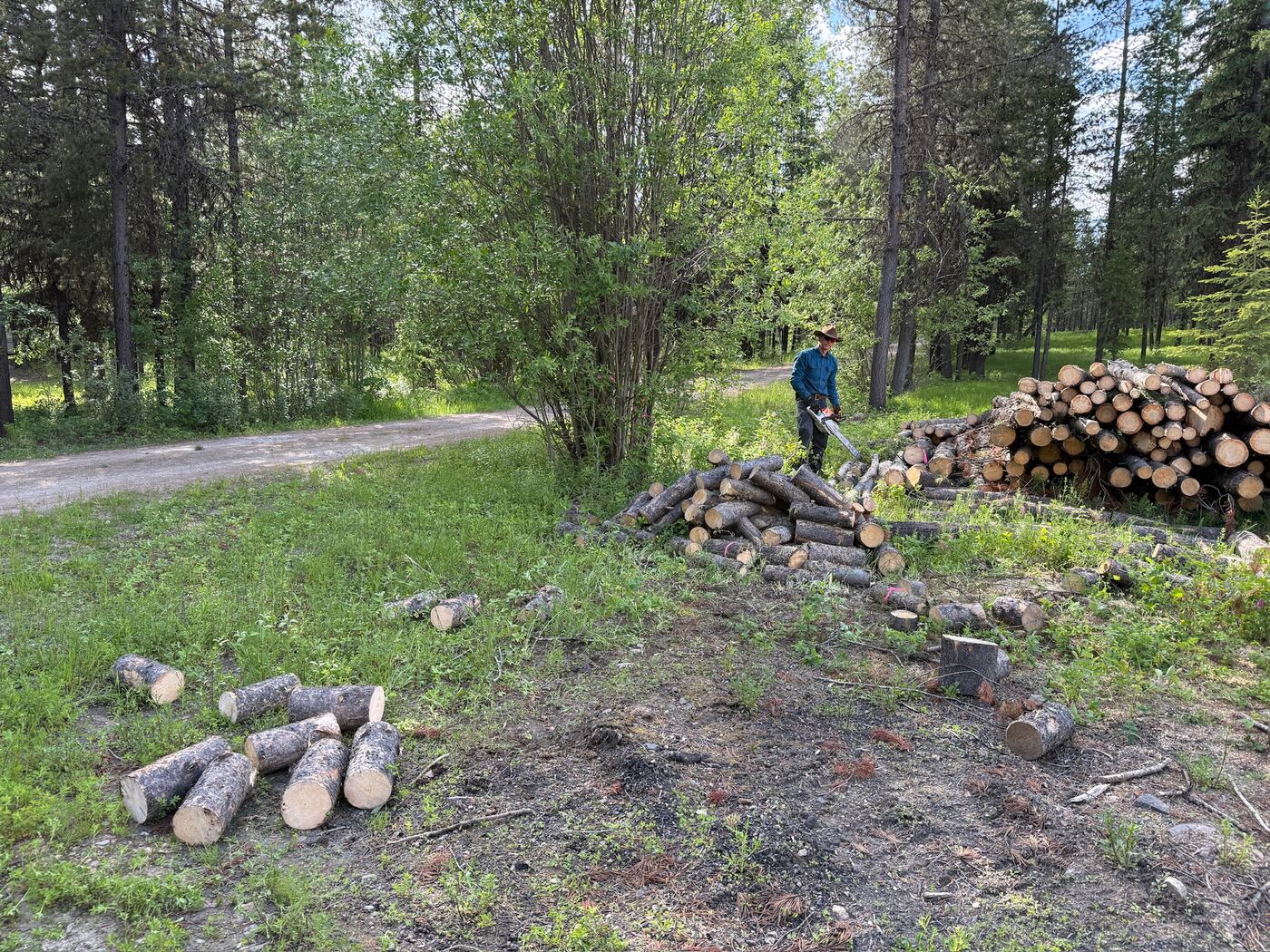Logs from the cleared site bucked and stacked beside the drive